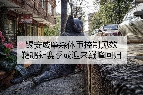 锡安威廉森体重控制见效 鹈鹕新赛季或迎来巅峰回归